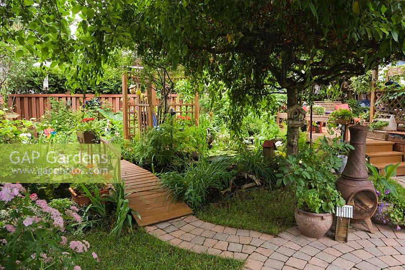 Paving stone patio and path leading to wooden footbridge decorated with red Pelargoniums beneath apple tree - Malus 'Royal Beauty' in urban backyard garden, Quebec, Canada