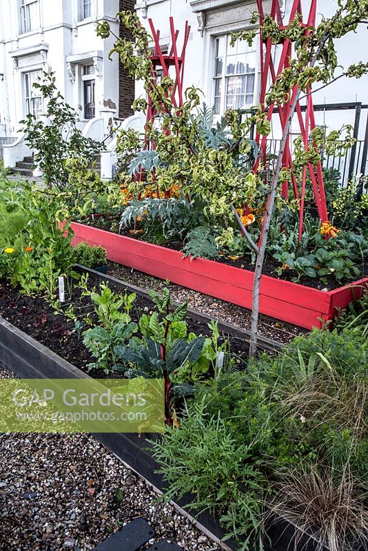 Raised vegetable beds in front garden, Brixton