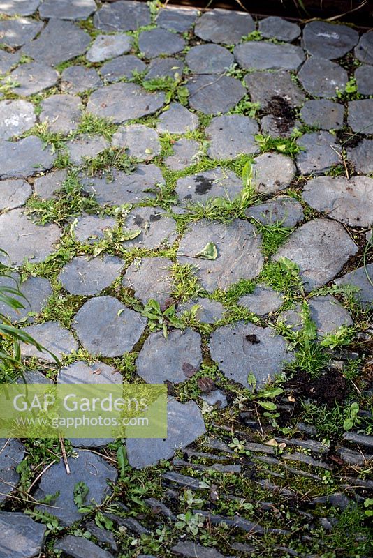 Slate pathway in town garden, Brixton