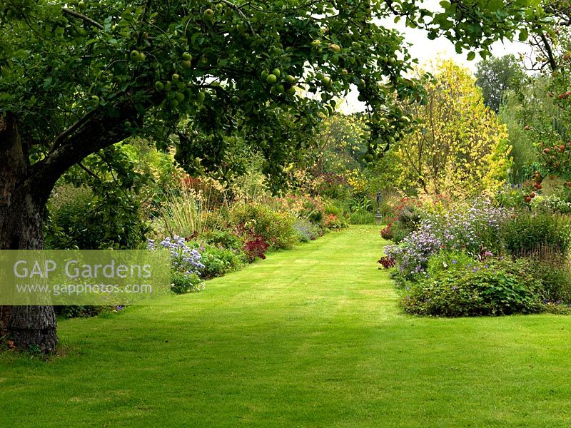 A large double herbaceous border and grass path viewed through ancient apple trees.
