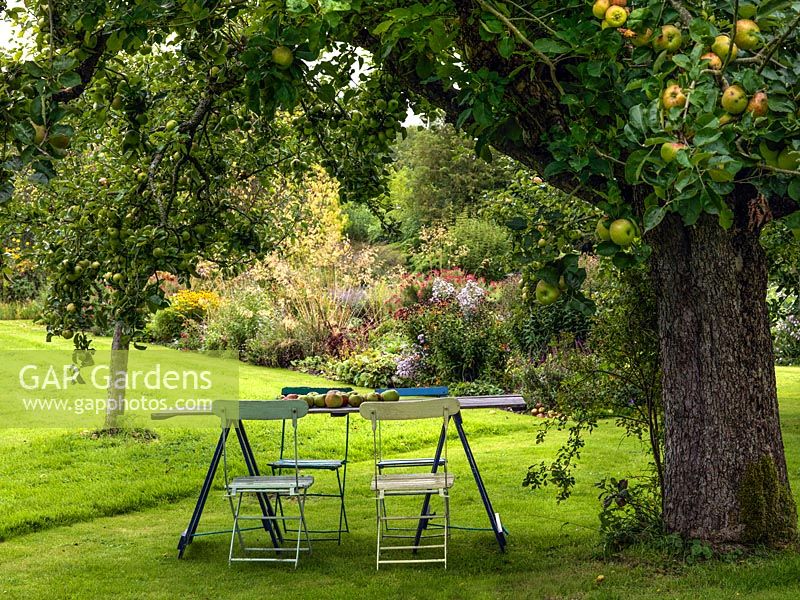 A picturesque seating area under ancient apple trees.