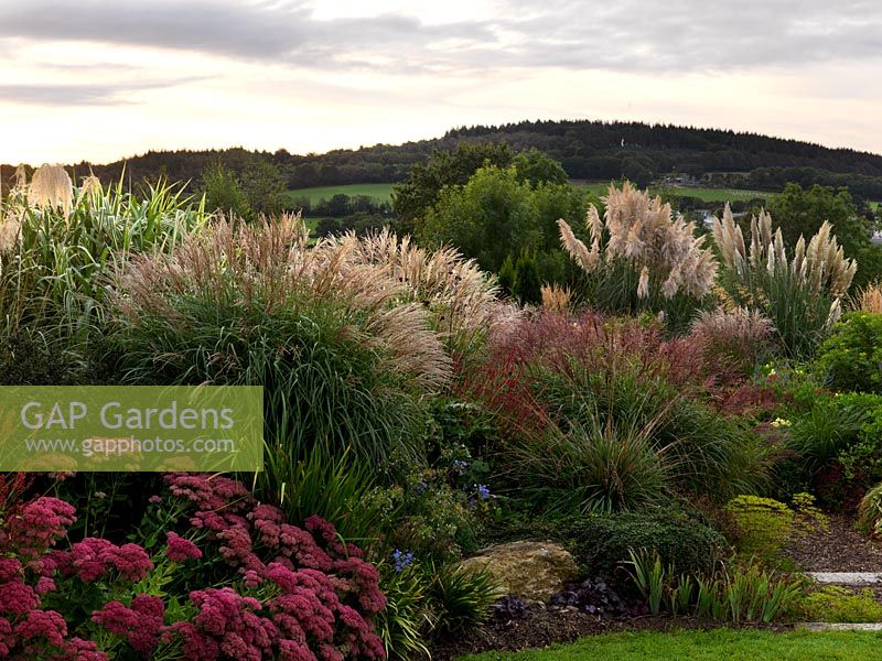 The Anniversary Grass Garden with Miscanthus, Cordaderia, Deschampsia and Stipa grasses and perennials - Sedum 'Carl', Agapanthus and Persicaria amplexicaulis. Views of the Devon hills beyond.