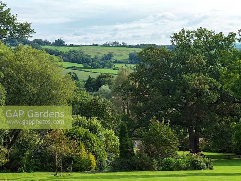 A woodland area with mature trees and views of the Devon countryside beyond.