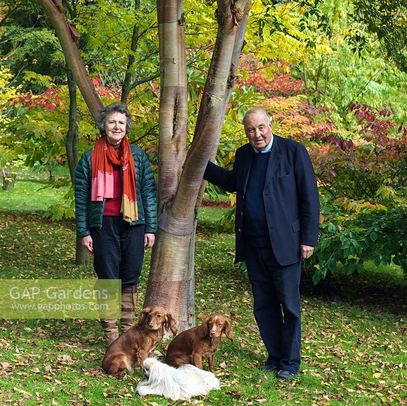 Lawrence and Elizabeth Banks with their three dogs, in the Maple Grove which they have planted in the last 30 years.
