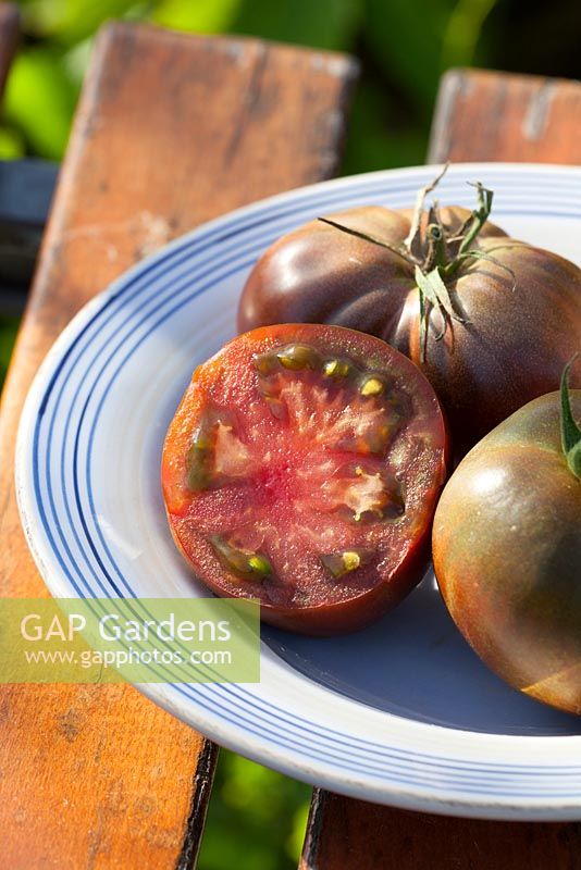 Tomato 'Nyagous' Russian black heirloom tomato