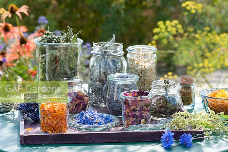 Jars of dried leaves for making tea including nettle, sage, rose, Calendula, blackberry, mint, cornflower, lavender and chamomile