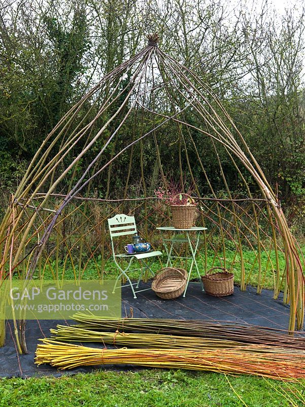 New living willow arbour. Uprights grow through weedproof cloth - tied to binders - horizontal and weavers - angled. Gathered together at the top, creating an enclosed structure, bare stemmed in winter, leafy in summer.