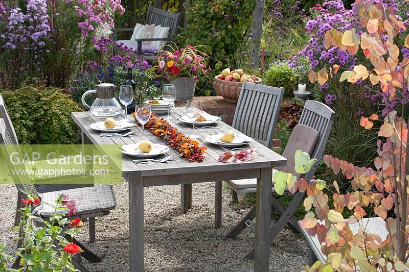 Table laid on gravel terrace with garland of pink rose hips and colourful Autumn leaves, flower beds with Aster, Verbena, Salvia