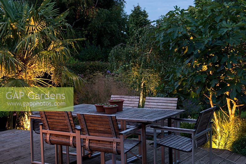 A raised wooden deck with garden furniture for outdoor dining. Uplighters illuminate surrounding planting including Trachycarpus fortunei palm, Deschampsia cespitosa 'Bronzeschlier' and 'Goldschleier' and Ficus carica 'Brown Turkey'.