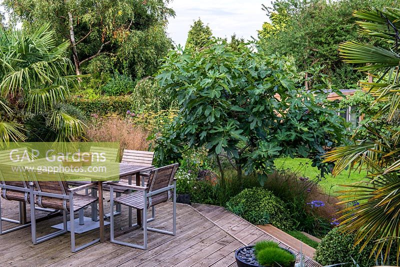A raised wooden deck with garden furniture for outdoor dining. Surrounding planting includes Trachycarpus fortunei palm, Deschampsia cespitosa 'Bronzeschlier' 