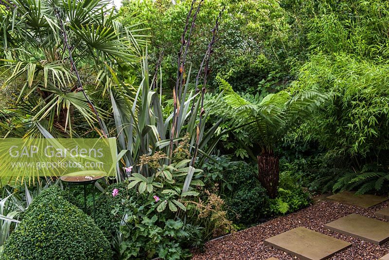 A bird bath in the middle of a border with lush Australiasian inspired planting including Trachycarpus fortunei palm, Phormium tenax, Dicksonia antartica, Anemone Konigin Charlotte, Hydrangea quercifolia, Buxus sempervirens topiary and Phyllostachys aurea.