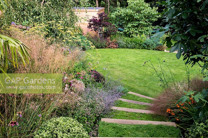 Steps planted with chamolie lead onto an oval shaped lawn in a terraced split level garden. Planting includes Dechampsia Bronzeschlier and Echinacea Double Pink Delight 