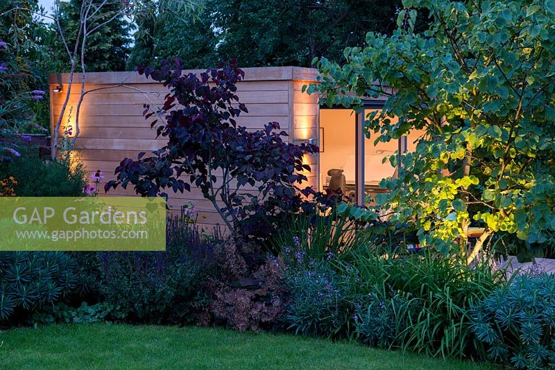 A modern garden office at night, set behind a mixed border with Cercis siliquastrum lit from below