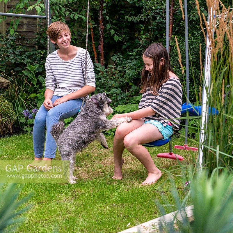 The two sisters, Scarlett, 13, and Lily, 10, play with their miniature Schnauzer dog, Alfie, 4.