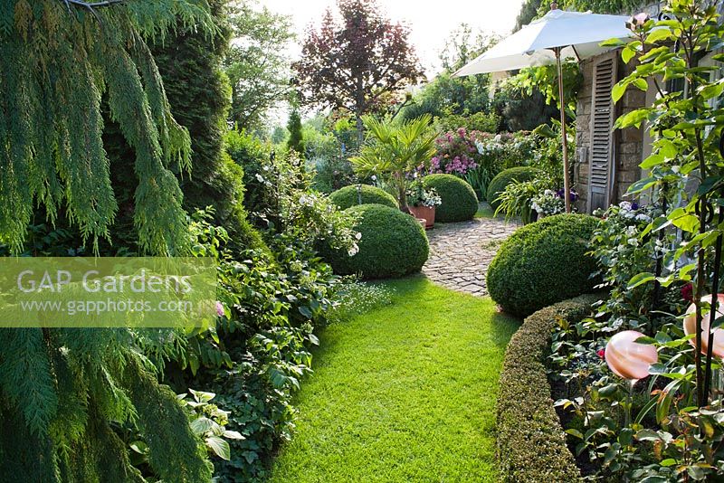 Grass path in summer garden with borders of perennials, shrubs, roses and box topiary. Marina Wust, Germany
