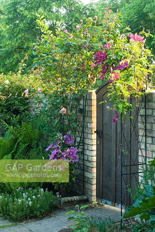 Oak garden gate framed by arch covered with clematis and rose. May