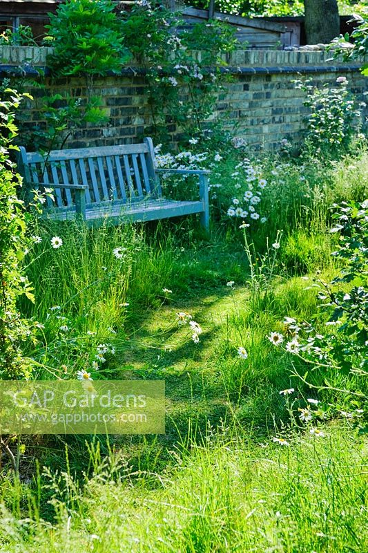 Garden bench with mown grass path in wild garden