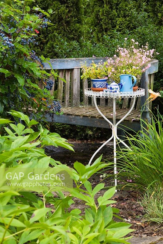 Old S-shaped blue wooden bench and white metal bistro table garnished with tea kettle and bouquet of pink Diascia 'Diamonte' flowers in backyard country garden in summer, Quebec, Canada