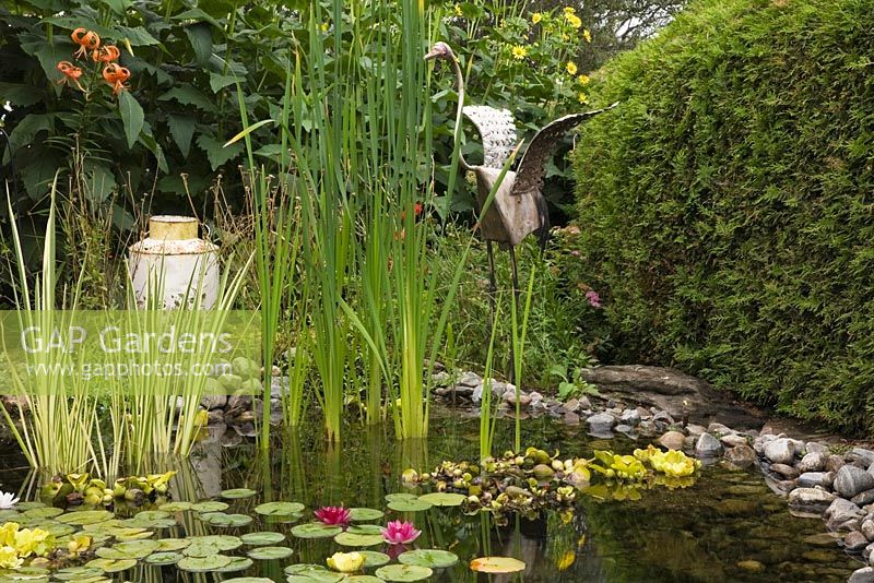 Old milk collecting bucket and metal bird sculpture on the edge of a pond with pink and white Nymphaea - Water Lilies and Typha latifolia - Common Cattails in backyard rustic garden in summer, Quebec, Canada