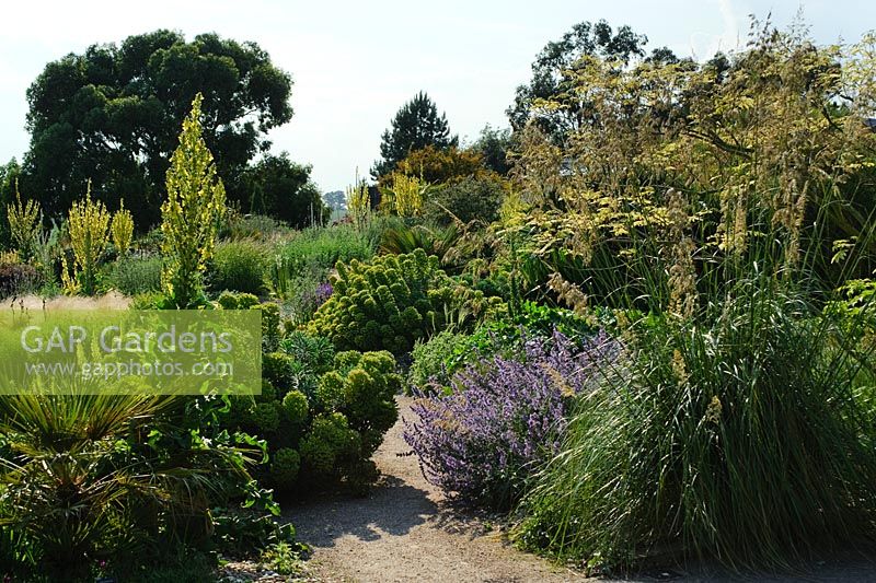 Dry Garden at RHS Hyde Hall