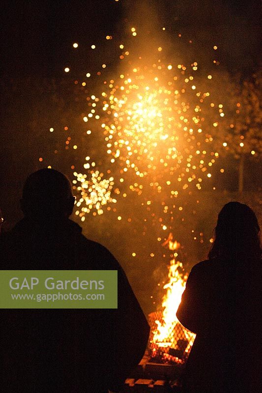 Garden firework party with bonfire. 