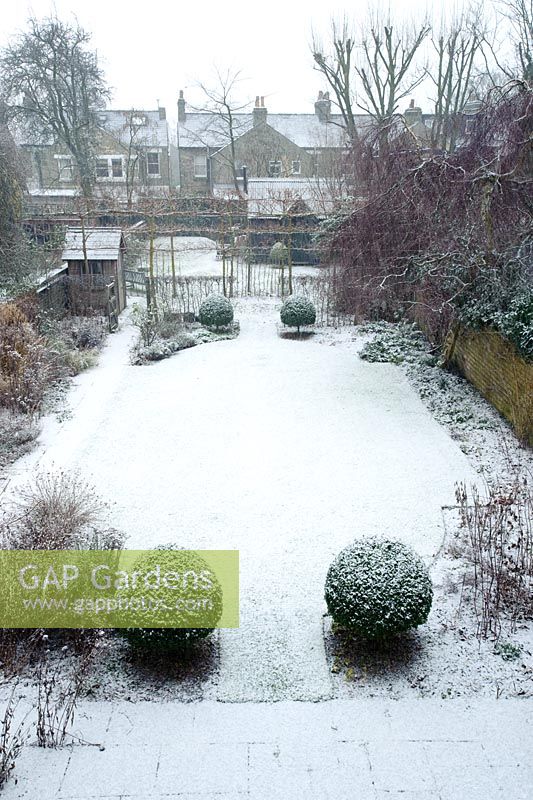 Formal town garden with snow. Central lawn with box topiary, small summer house and workshop studio in distance. 