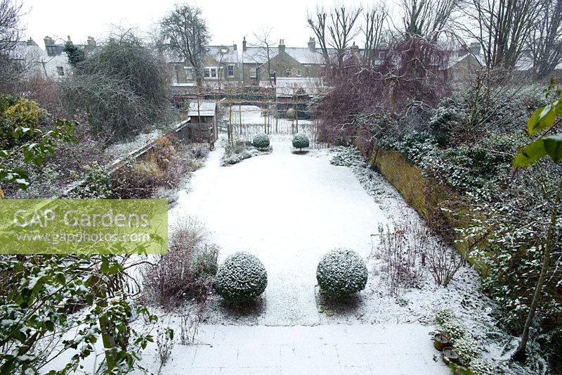 Formal town garden with snow. Central lawn with box topiary, small summer house and workshop studio in distance.