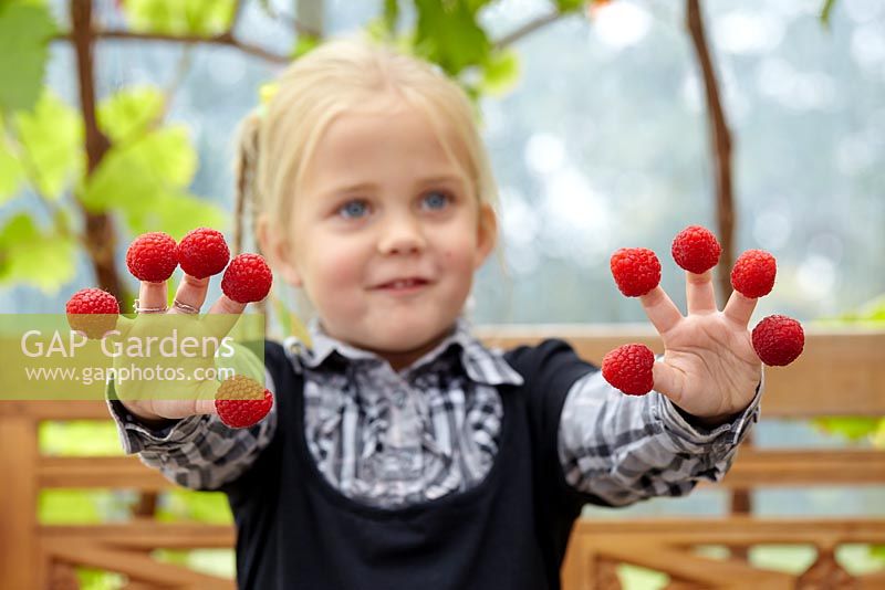 Young girl with raspberries on her fingers 
