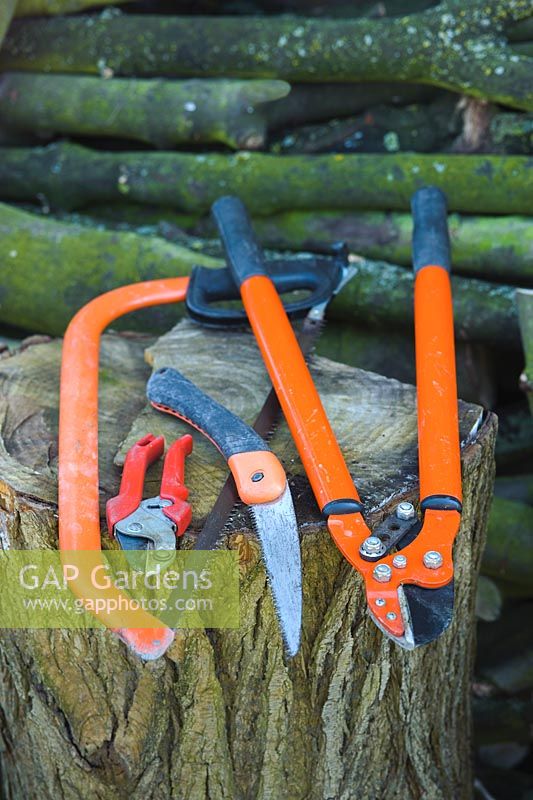 Tools for pruning trees and shrubs. Bow saw, secateurs, folding pruning saw, long handled pruners
