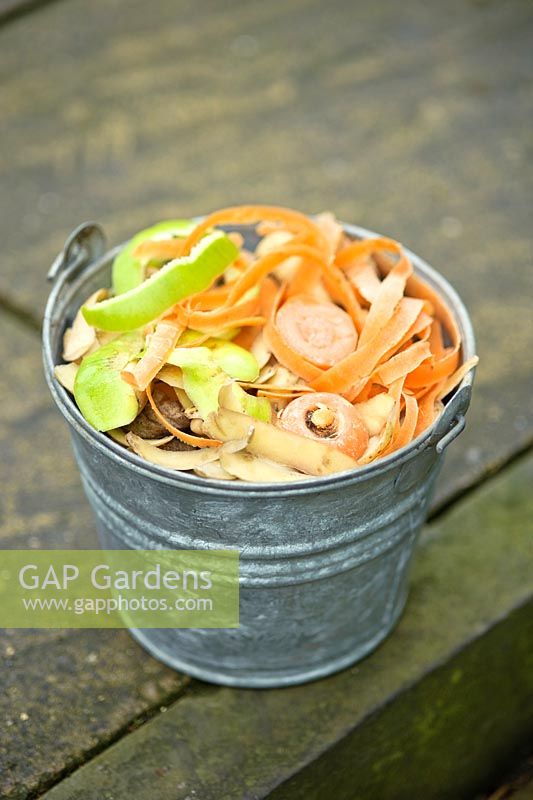 Vegetable peelings for adding to the compost heap