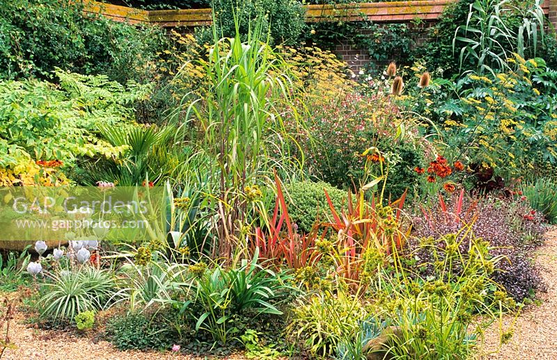 Grasses and exotic looking plants. The Old Vicarage, East Ruston, Norfolk