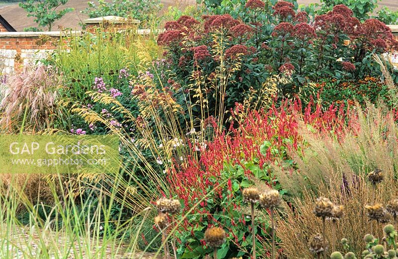 Border with grasses and perennials. Stipa gigantea, Persicaria, Eupatorium. Bury Court, Hampshire. Design: Piet Oudolf  