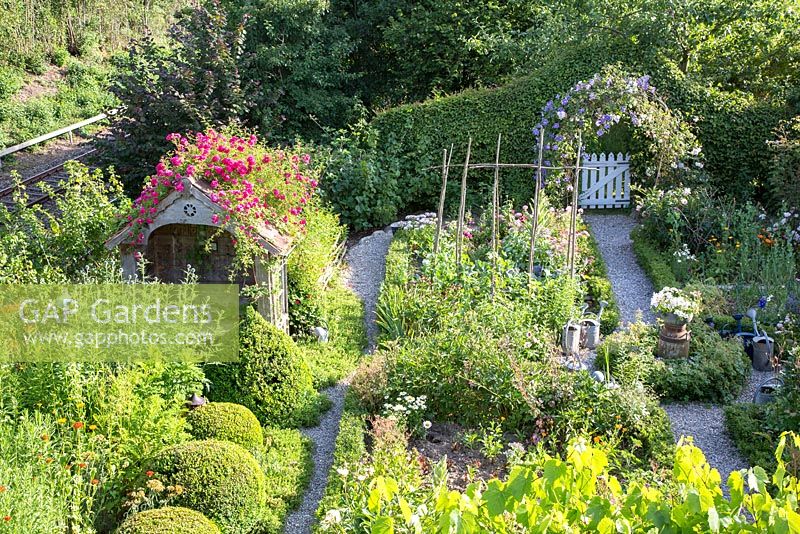 View from above of rural garden with arbour covered with rambling rose 'Excelsa', box balls, vegetable patch, gravel paths and a clematis arch over a wooden garden gate.