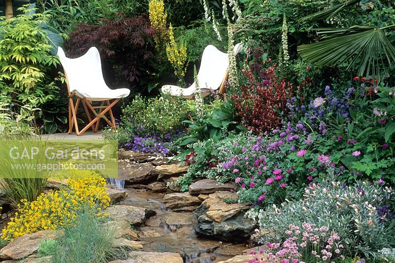 Patio with two white canvas chairs. Artificial stream. Acer, sambucus, cytisus, genista, osteospermum, verbascum. 