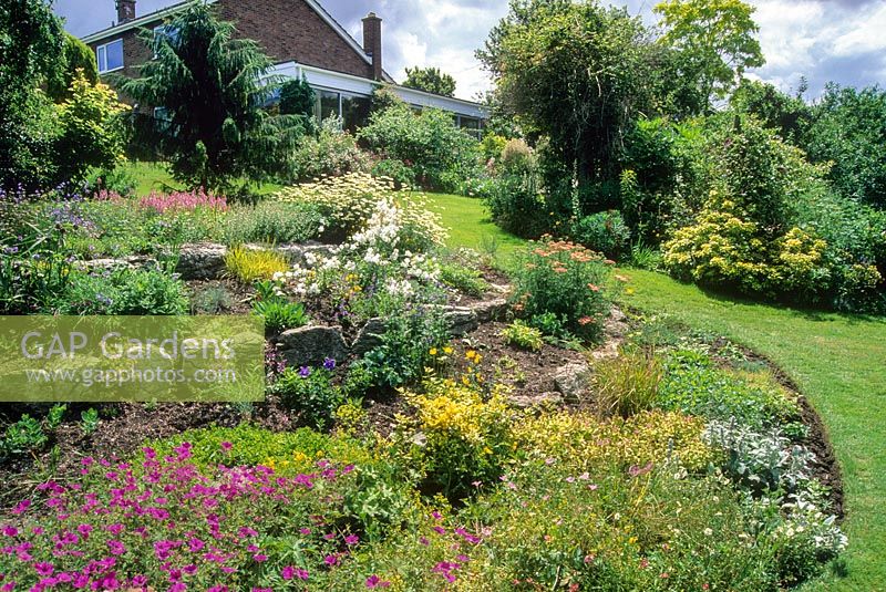 Sloping garden and lawn with view to house. Geranium psilostemon, Achillea and campanulas in border. Don and Sally Edwards, Horningsea, Cambridge