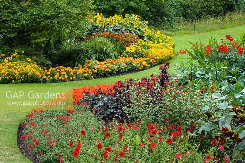 Summer bedding display with hot colour theme. Marigolds, tagetes, geraniums, petunias, zinnias, dahlias and rudbeckias
