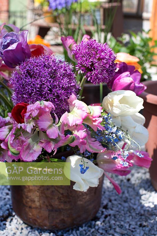 Bouquet of Tulipa 'Green Wave' and Allium 'Purple Sensation' in conservatory