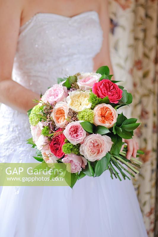 Pink, cream, red and peach roses in a wedding bouquet. Cut flower rose varieties from David Austin Roses