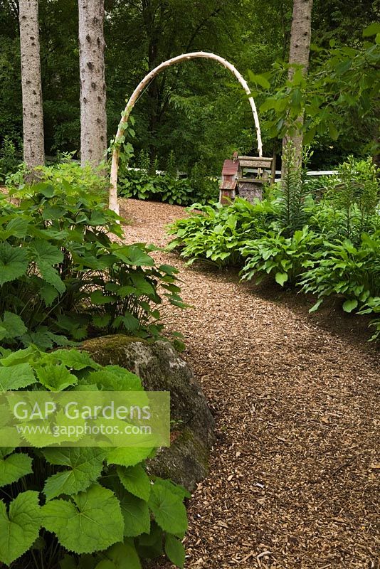 Cedar mulch path bordered by Petasites japonicus and Hosta plants leading to a bent tree arbour in front yard country garden in summer, Quebec, Canada
