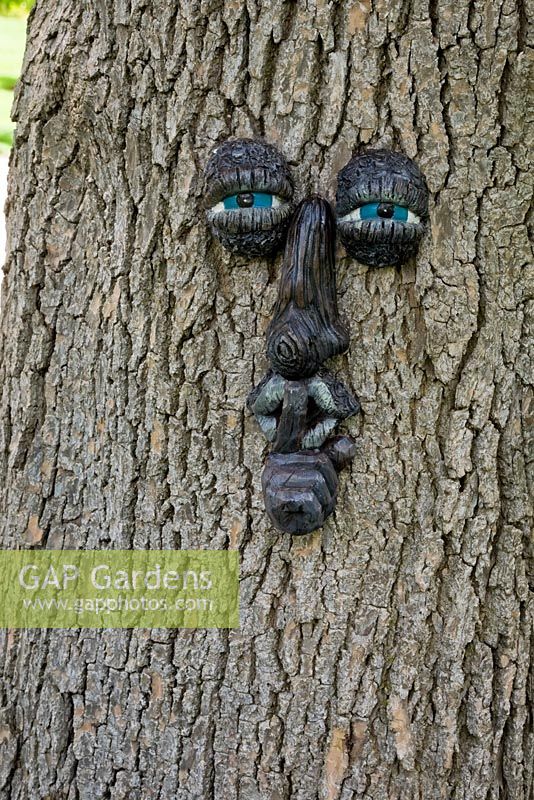 Close-up of a wooden tree face with blue eyes on a large tree trunk in private front yard country garden in summer, Quebec, Canada