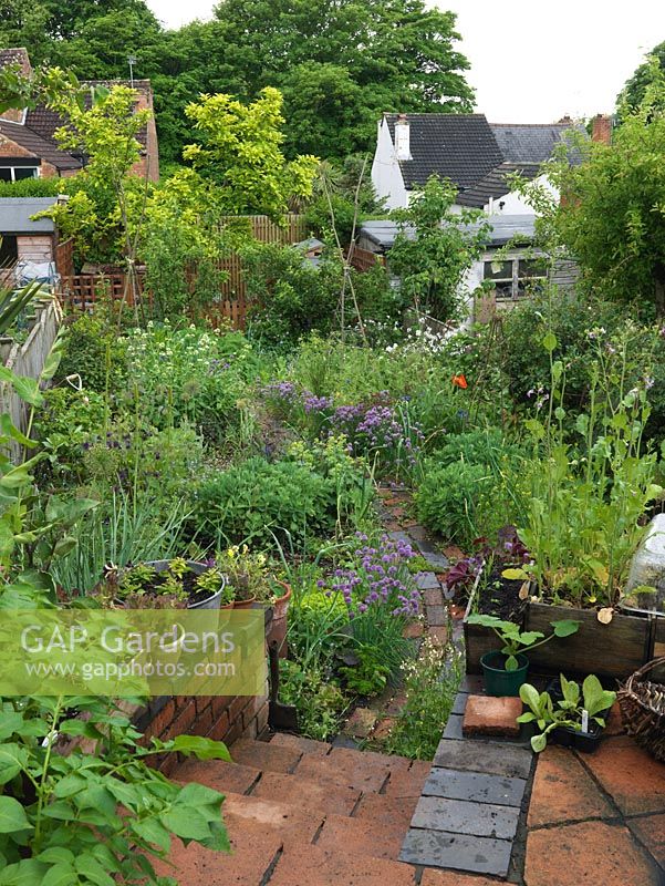 Alys Fowler's 18m x 6m, organic back garden. Pretty and productive, a mix of fruit, herbs, flowers, perennials, annuals and vegetables thrive in packed borders. Winding path.