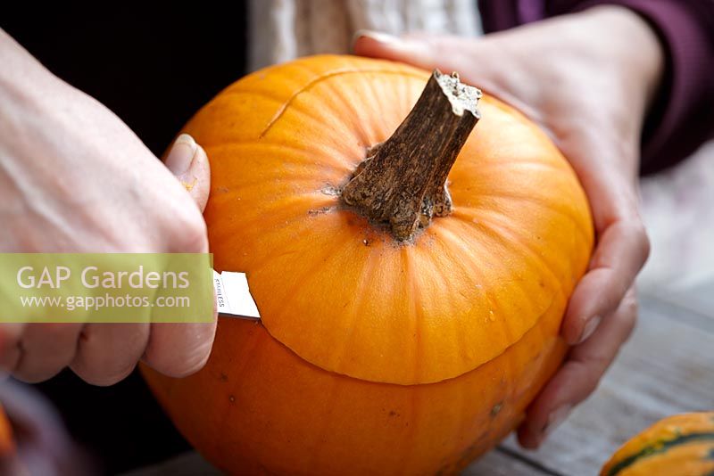 Carving pumpkin with knife 