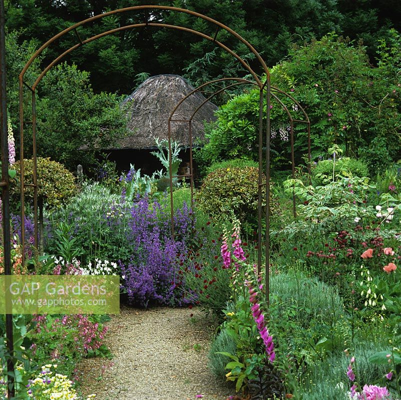 Gravel path edged Nepeta Six Hills Giant amid beds of eremurus, corydalis, astrantia, foxglove, scabious, hardy geranium, box and holly topiary leads to thatched gazebo.
