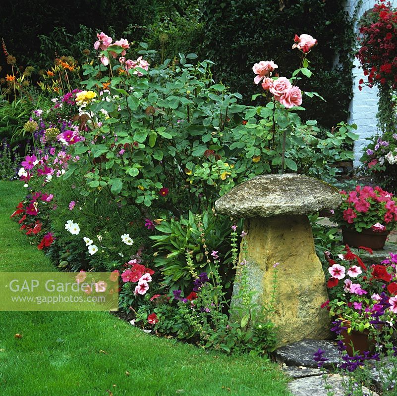 Stone staddle stone inset into summer bed of roses, cosmos and petunia.