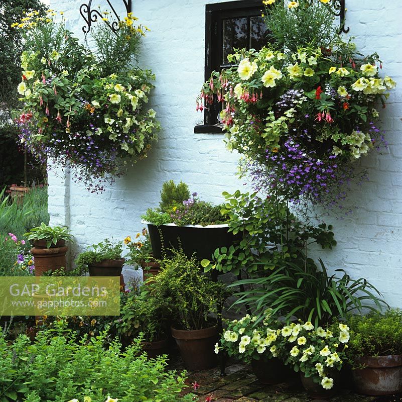 White wall with black-framed window flanked by hanging baskets of petunia, fuchsia and lobelia. Below, planted babys bath with pots of petunia and viola.