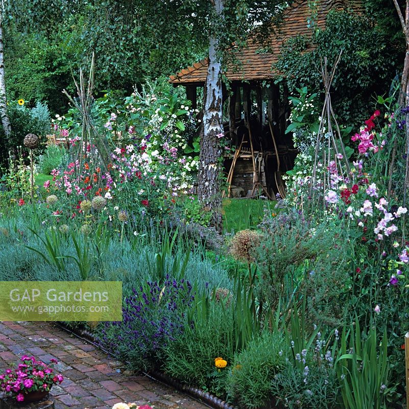 Kitchen garden with lavender, sweet peas scrambling up willow frames and vegetables. Beyond, timber framed barn with antique garden and agricultural tools.
