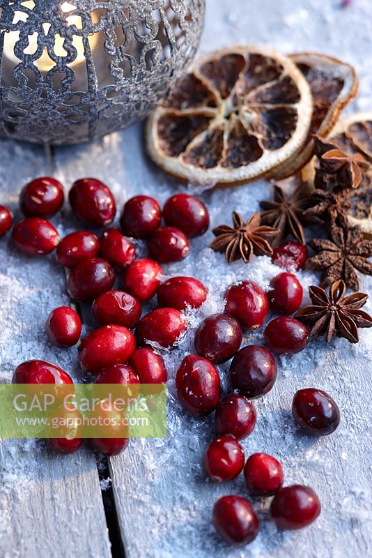 Cranberries with star anise