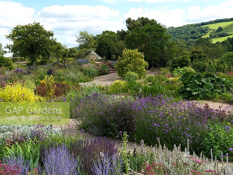 Informal beds of herbaceous perennials in The Gravel Garden. Holt Organic Garden, North Somerset.