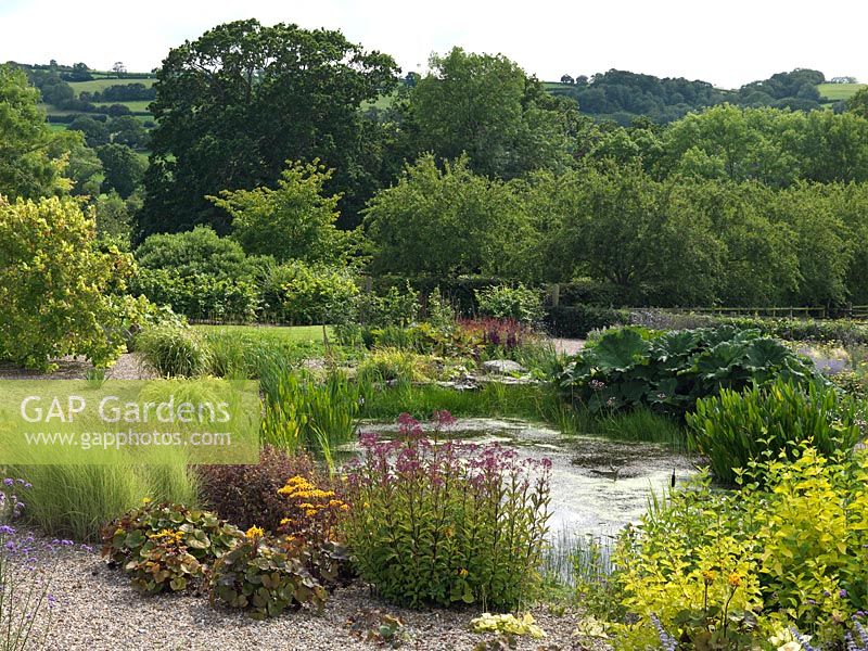 A pond bordered by informal beds of herbaceous perennials at the bottom of the Gravel Garden, Holt Organic Garden.
