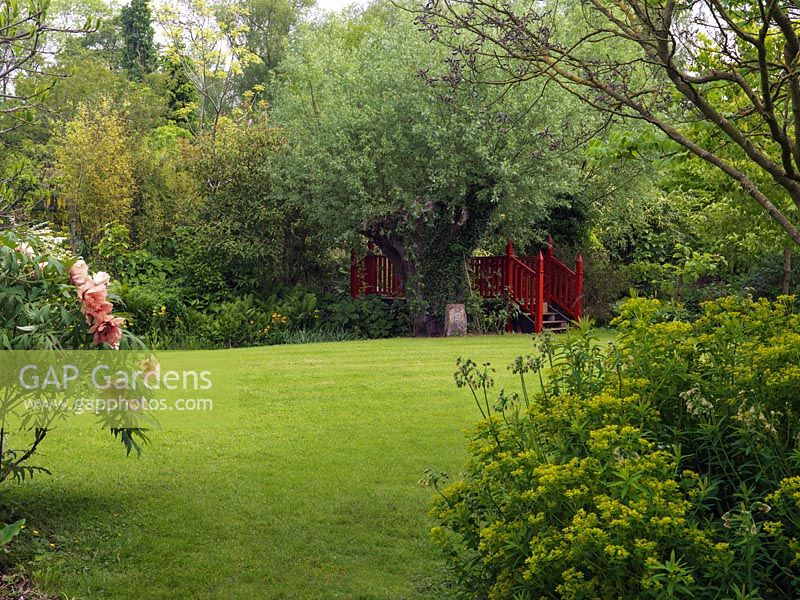 View past euphorbia, nectaroscordum and Paeonia Angelet, over lawn to Chinese style red bridge in shade of willow.